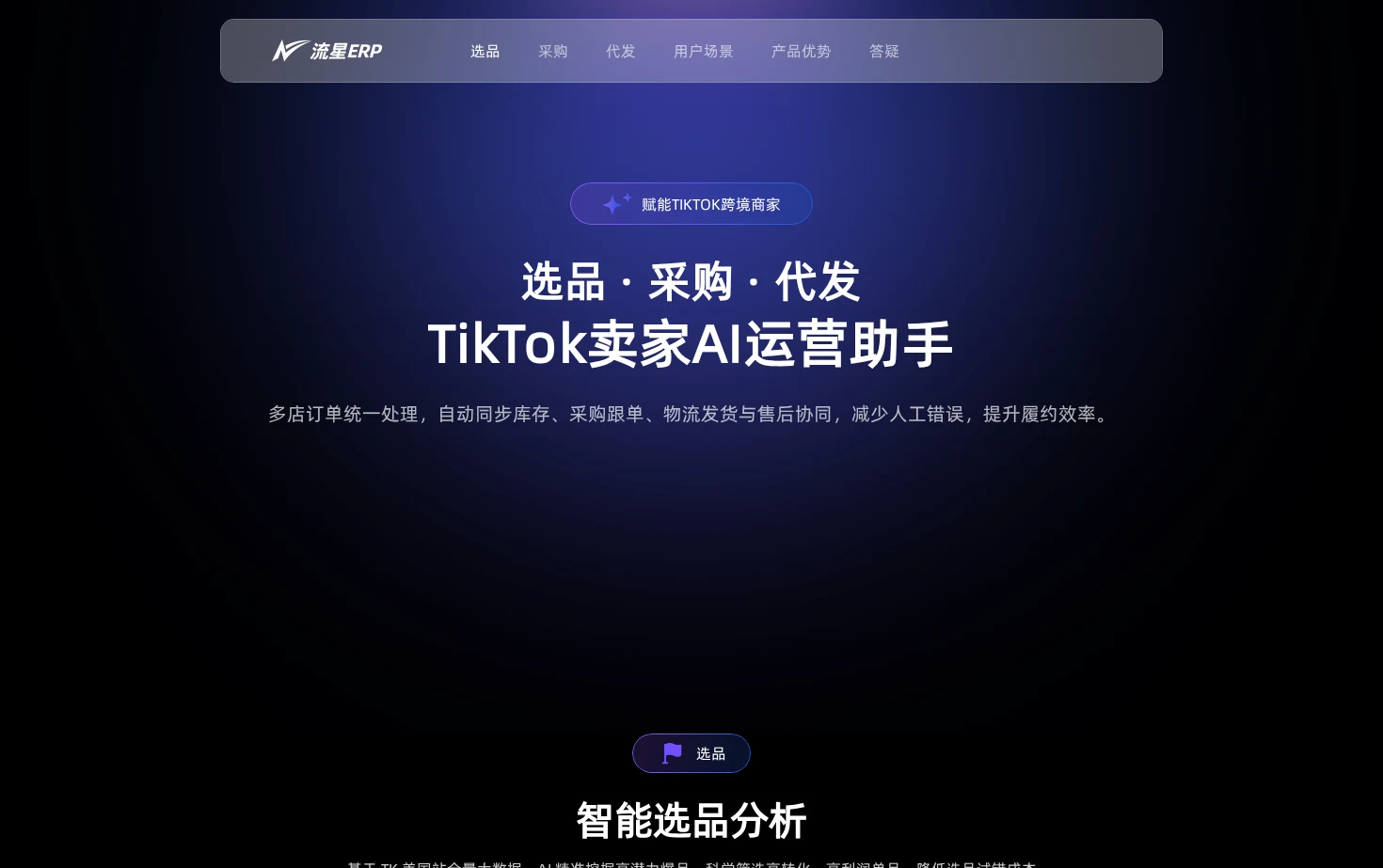 流星ERP 页面快照